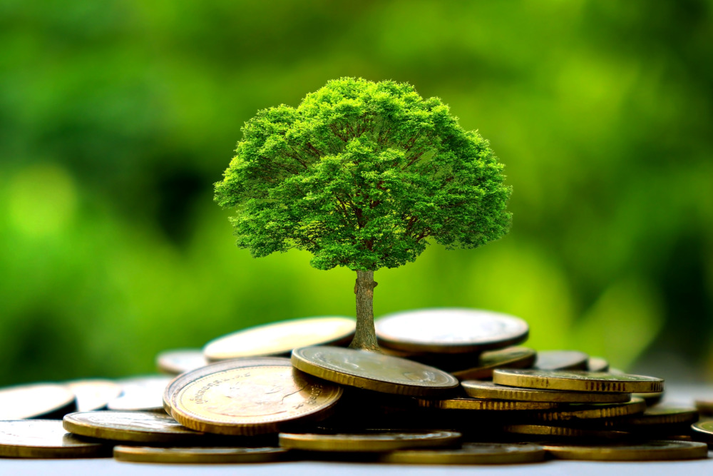 Préparation des projets